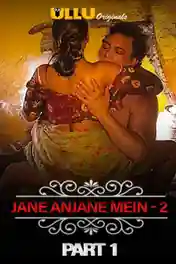 Jane Anjane Mein 2020 WEB-DL 200Mb Hindi ULLU Part 01 720p poster | Bolly4u Official