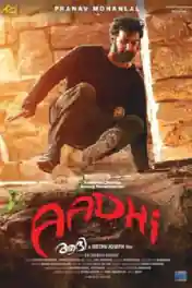 Aadhi 2018 WEB-DL 1.2GB UNCUT Hindi Dual Audio 720p poster | Bolly4u Official
