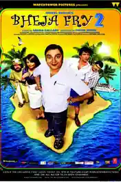 Bheja Fry 2 2011 DVDRip 350MB Full Hindi Movie Download 480p poster | Bolly4u Official