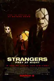 The Strangers Prey at Night 2018 WEB-DL 250MB English 480p ESub poster | Bolly4u Official