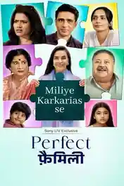Perfect Family 2025 WEB-DL Hindi S01 Complete Download 720p | 480p poster | Bolly4u Official