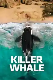 Killer Whale 2026 WEB-DL Hindi Dual Audio ORG Full Movie Download 1080p | 720p | 480p poster | Bolly4u Official