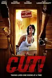 Cut! 2014 WEB-DL Hindi Dual Audio Full Movie Download 720p | 480p poster | Bolly4u Official