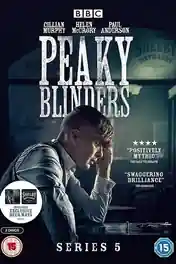 Peaky Blinders 2019 WEB-DL Hindi Dual Audio ORG S05 Complete Download 720p | 480p poster | Bolly4u Official