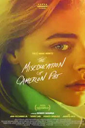 The Miseducation of Cameron Post 2018 WEB-DL 300MB English 480p ESub poster | Bolly4u Official