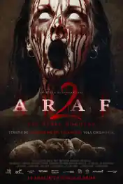 Araf 2 2019 WEB-DL 750MB Hindi Dual Audio 720p poster | Bolly4u Official