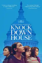 Knock Down The House 2019 WEB-DL 300MB Hindi Dual Audio 480p poster | Bolly4u Official