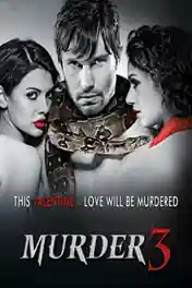 Murder 3 2013 BluRay Hindi Full Movie Download 1080p | 720p | 480p poster | Bolly4u Official