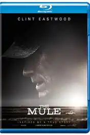 The Mule 2018 BRRip 350MB English 480p ESub poster | Bolly4u Official
