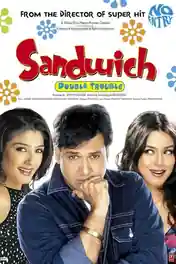 Sandwich 2006 WEB-DL Hindi Full Movie Download 1080p | 720p | 480p poster | Bolly4u Official