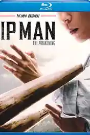IP Man The Awakening 2021 BluRay Hindi Dual Audio Full Movie Download 1080p | 720p | 480p poster | Bolly4u Official