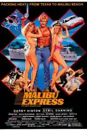 Malibu Express 1985 BRRip 950MB Hindi Dual Audio 720p poster | Bolly4u Official