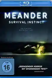Meander 2020 BluRay Hindi Dual Audio ORG Full Movie Download 1080p | 720p | 480p poster | Bolly4u Official