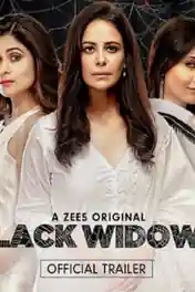 Black Widows 2020 WEB-DL 1.2GB Hindi S01 480p Download poster | Bolly4u Official