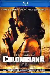 Colombiana 2011 BRRip 300MB Hindi Dual Audio 480p poster | Bolly4u Official