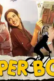 Paper Boy 2019 HDRip 750Mb Hindi Dubbed 720p poster | Bolly4u Official