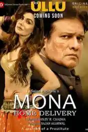 Mona Home Delivery 2019 WEB-DL Hindi Complete Season 01 Download 720p poster | Bolly4u Official