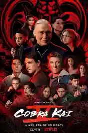 Cobra Kai 2022 WEB-DL Hindi Dual Audio ORG S05 Complete Download 720p | 480p poster | Bolly4u Official