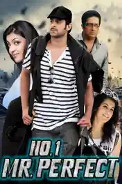 No 1 Mr Perfect 2013 WEB-DL Hindi Dubbed ORG Full Movie Download 1080p | 720p | 480p poster | Bolly4u Official