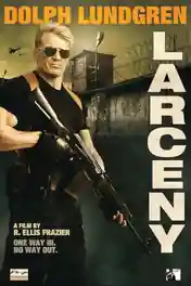 Larceny 2017 WEB-DL Hindi Dual Audio Full Movie Download 720p | 480p poster | Bolly4u Official