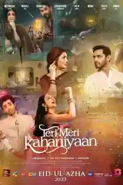 Teri Meri Kahaniyaan 2023 WEB-DL Urdu Full Movie Download 1080p | 720p | 480p poster | Bolly4u Official