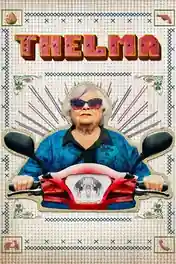 Thelma 2024 WEB-DL Hindi Dual Audio ORG Full Movie Download 1080p | 720p | 480p poster | Bolly4u Official