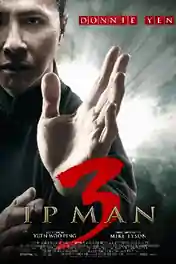 IP Man 3 2015 BluRay 300Mb Hindi Dual Audio 480p poster | Bolly4u Official