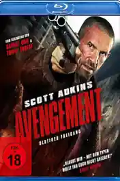 Avengement 2019 BluRay 950Mb Hindi Dual Audio 720p poster | Bolly4u Official