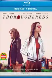 Thoroughbreds 2017 BluRay 300Mb English 480p ESub poster | Bolly4u Official