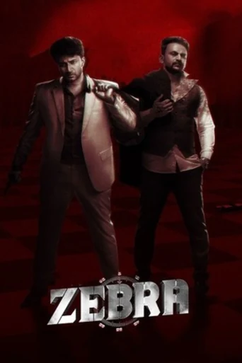 Zebra 2024 WEB-DL UNCUT Hindi Dual Audio ORG Full Movie Download 1080p | 720p | 480p poster | Bolly4u Official