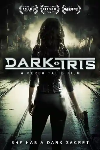 Dark Iris 2018 WEB-DL Hindi Dual Audio Full Movie Download 720p | 480p poster | Bolly4u Official