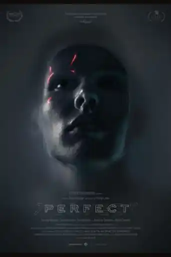 Perfect 2019 HDRip 800Mb English 720p poster | Bolly4u Official