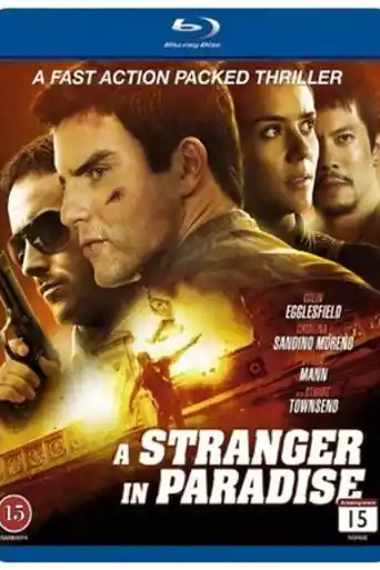 A Stranger In Paradise 2013 BluRay Hindi Dual Audio Full Movie Download 720p | 480p poster | Bolly4u Official