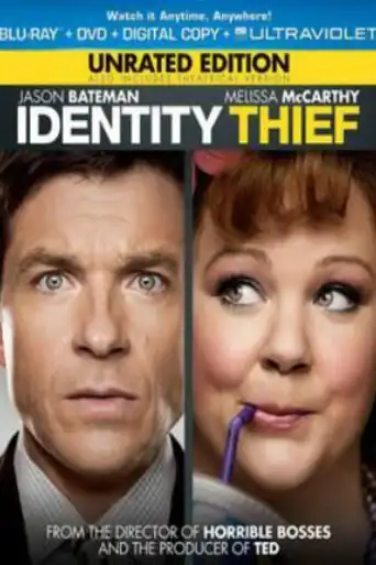 Identity Thief 2013 BRRip 350MB UNRATED Hindi Dual Audio 480p poster | Bolly4u Official