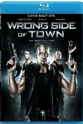 Wrong Side of Town 2010 BluRay 300MB Hindi Dual Audio 480p poster | Bolly4u Official