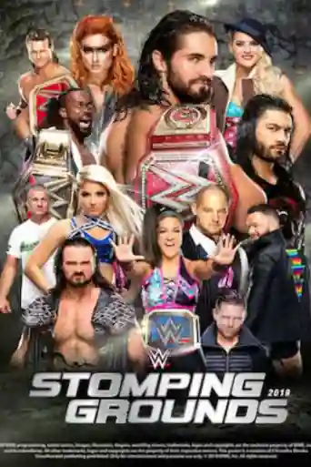WWE Stomping Grounds 2019 PPV 700MB 480p WEB-DL x264 poster | Bolly4u Official
