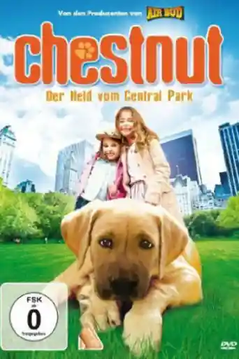 Chestnut Hero of Central Park 2004 HDTV 300MB Hindi Dual Audio 480p poster | Bolly4u Official