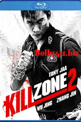 Kill Zone 2 2015 BluRay 400MB UNCUT Hindi Dual Audio 480p poster | Bolly4u Official