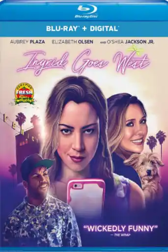 Ingrid Goes West 2017 BRRip 300MB Hindi Dual Audio 480p poster | Bolly4u Official
