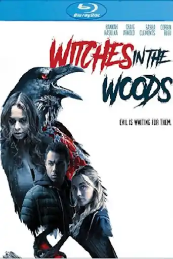 Witches In The Woods 2019 BluRay 300Mb Hindi Dual Audio 480p poster | Bolly4u Official