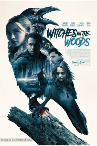 Witches in The Woods 2019 WEB-DL 280MB English 480p poster | Bolly4u Official