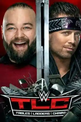 WWE TLC 2019 PPV HDTV 480p 750MB x264 poster | Bolly4u Official
