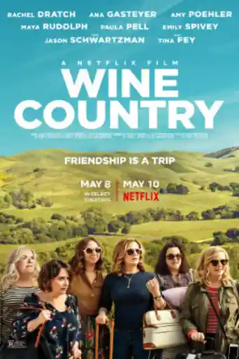 Wine Country 2019 BRRip 999MB Hindi Dual Audio ORG 720p poster | Bolly4u Official