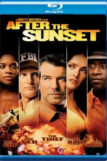 After The Sunset 2004 BluRay 750Mb Hindi Dual Audio 720p poster | Bolly4u Official