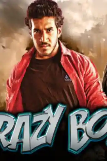 Crazy Boy 2019 HDRip 300MB Hindi Dubbed 480p poster | Bolly4u Official