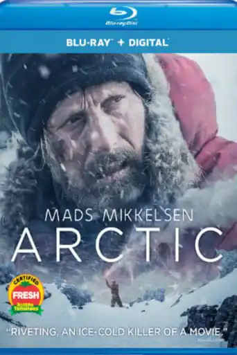 Arctic 2018 BRRip 950MB English 720p ESub poster | Bolly4u Official