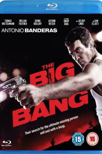 The Big Bang 2010 BluRay Hindi Dual Audio Full Movie Download 720p | 480p poster | Bolly4u Official