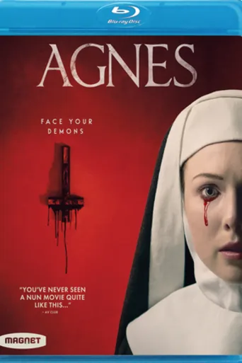 Agnes 2021 BluRay Hindi Dual Audio Full Movie Download 720p | 480p poster | Bolly4u Official