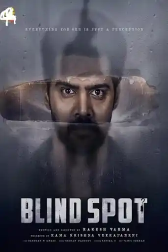 Blind Spot 2025 WEB-DL Hindi Dual Audio ORG Full Movie Download 1080p | 720p | 480p poster | Bolly4u Official