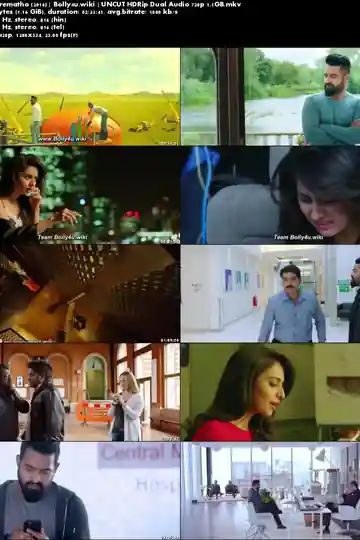 Nannaku Prematho 2016 HDRip UNCUT Hindi Dual Audio 720p Download